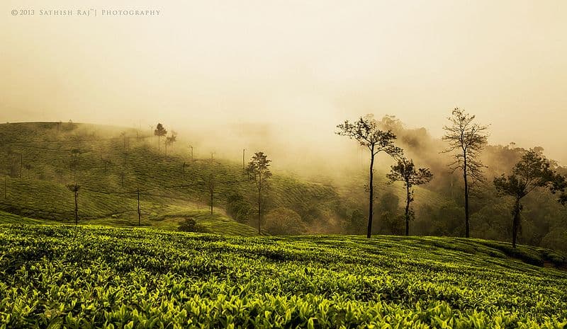 Valparai-Solaiyur: Complete Travel Guide