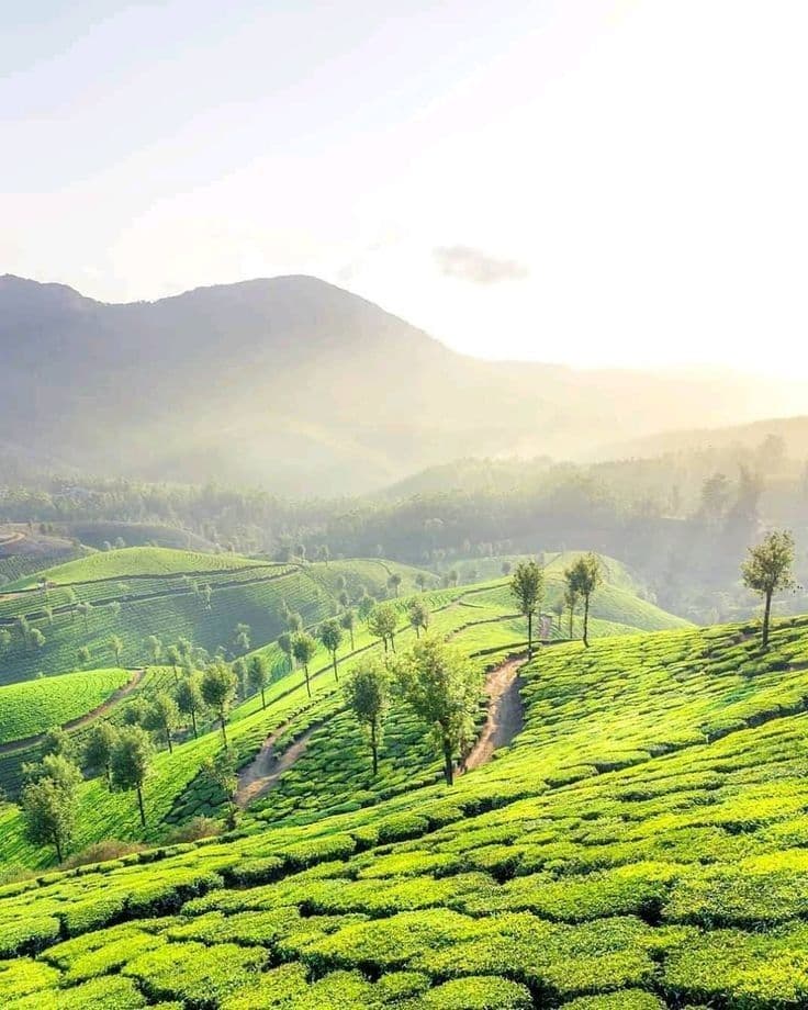 Best Time to Visit Hill Stations